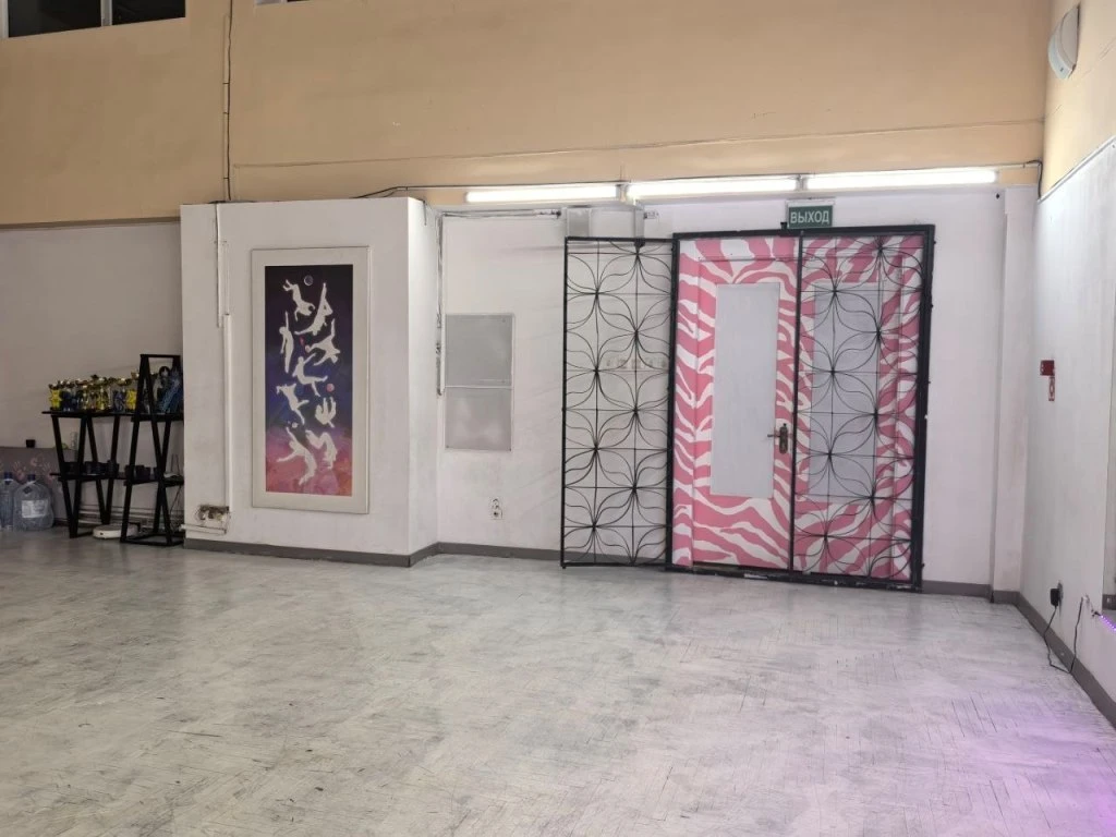 Современная студия танцев в центре Бреста