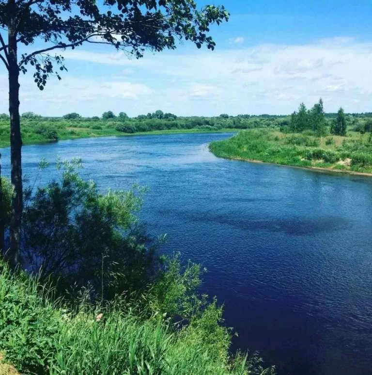Агроусадьба в живописном месте